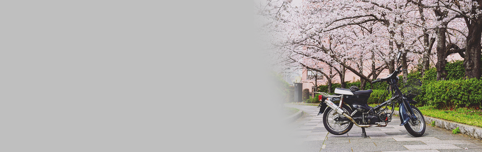 ioFactoryの取り扱い車両